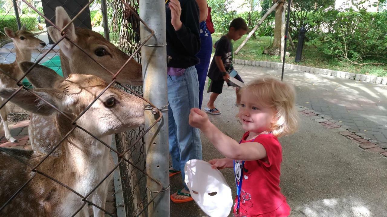 Howard Beach Resort Kenting Bagian luar foto Feeding the kangaroos