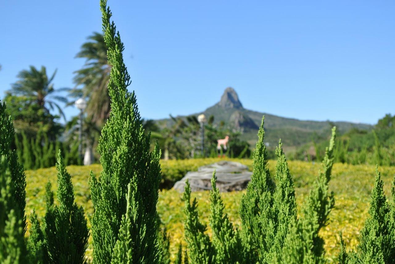 Howard Beach Resort Kenting Bagian luar foto View of Pico do Papagaio
